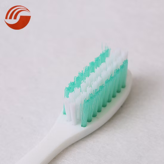 Neuestes Design, einzigartige, transparente, faltbare Nylon/PP-Zahnbürste für Erwachsene mit Reiseborsten